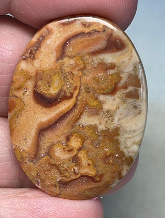 Oval 36x27mm Dryhead Agate Cabochon 01