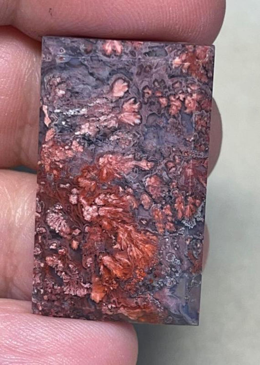 Rectangle 33x19mm Faceted Indonesian Plume Agate Cabochon 59