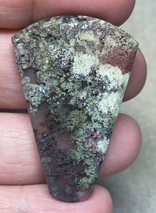 Freeform 43x29mm Lichen in Quartz Cabochon 94