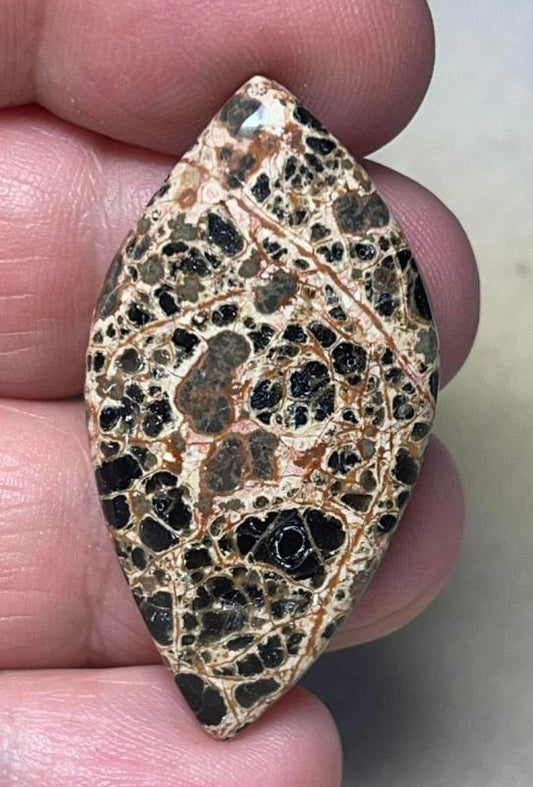 Freeform 41x21mm Orbicular Jasper Cabochon 24