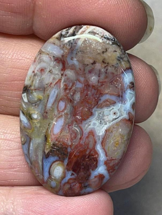 Oval 37x24mm Palm Agate Cabochon 17