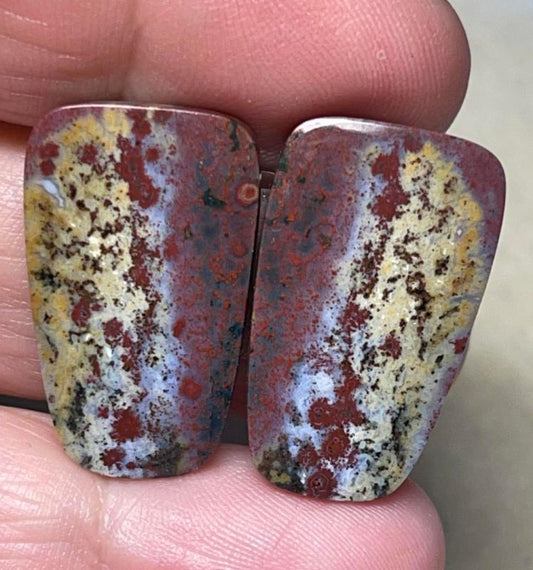 Freeform 25x15mm Bloodstone Cabochon Pair 09