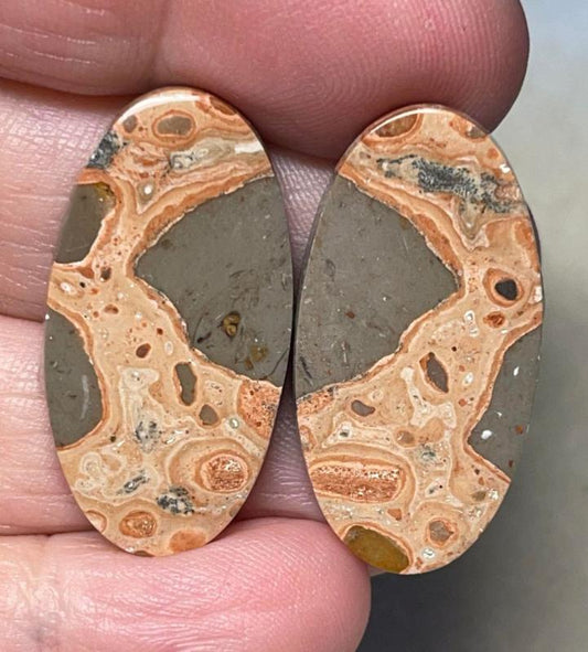 Oval 31x16mm Leopardite Jasper Cabochon Pair 35