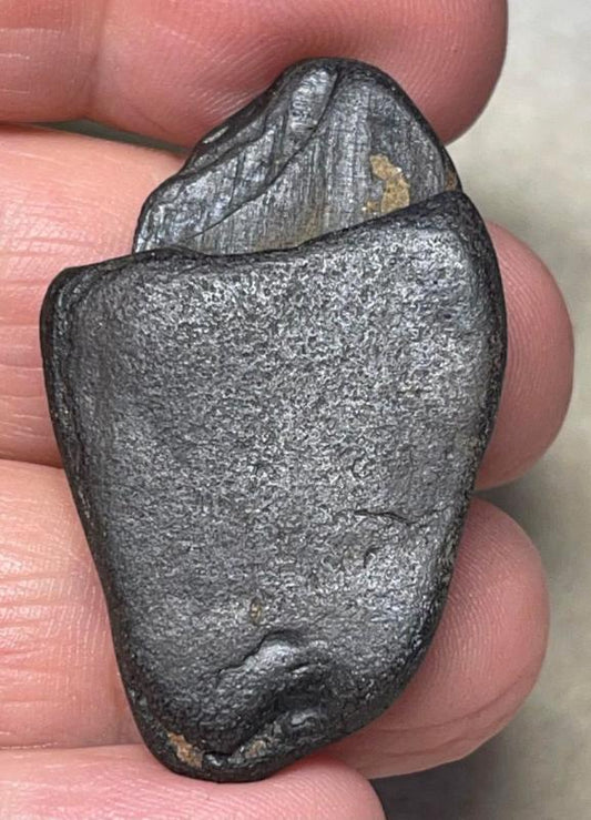 Freeform 41x25mm Raw Whitby Jet Specimen 10