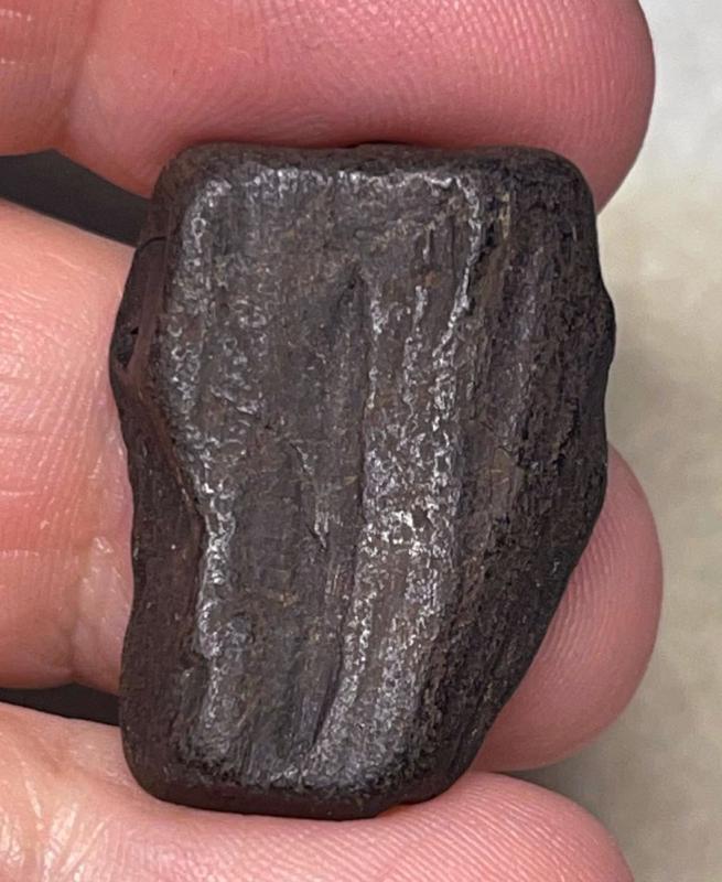 Freeform 28x20mm Raw Whitby Jet Specimen 28