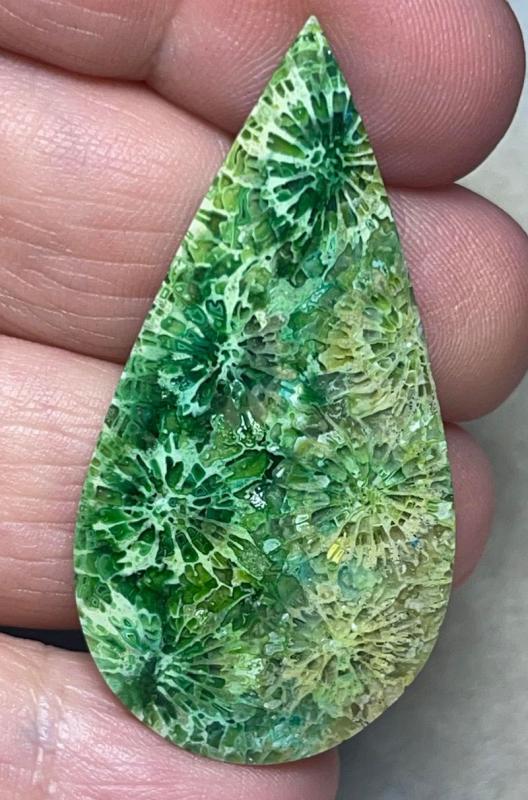 Teardrop 48x24mm Colour Enhanced Fossil Coral Cabochon 20