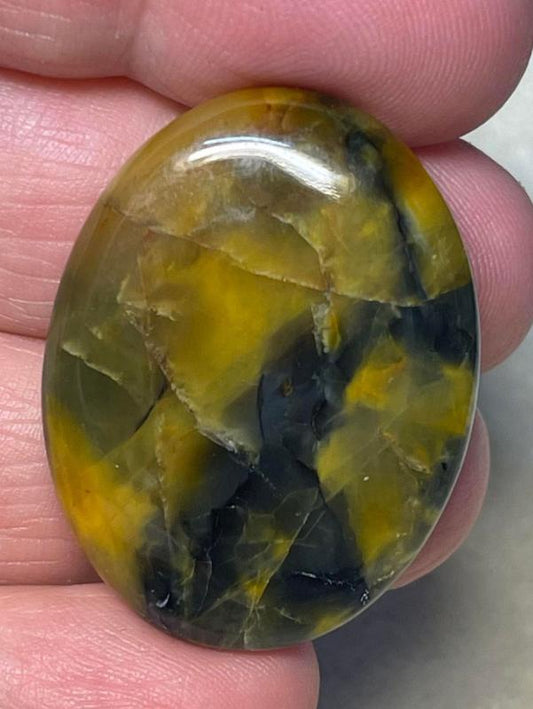 Oval 34x26mm Nellite Cabochon 04