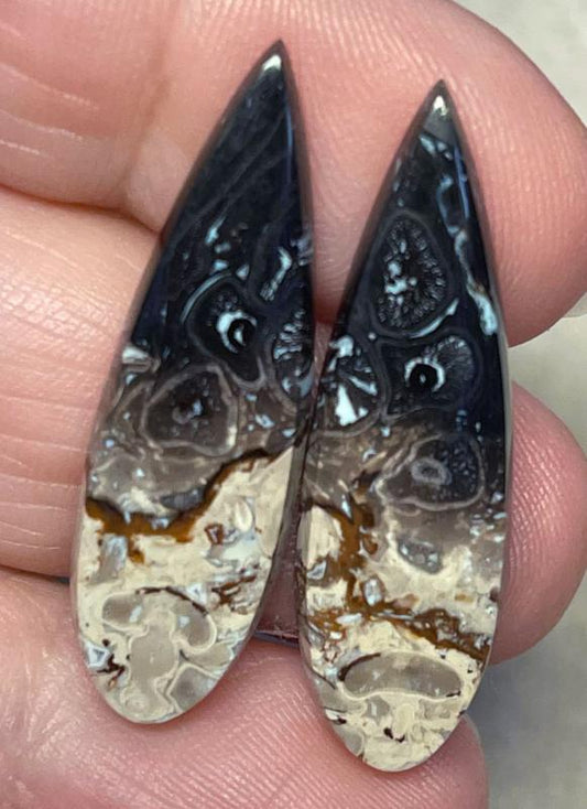 Teardrop 35x10mm Indonesian Palm Root Cabochon Pair 14