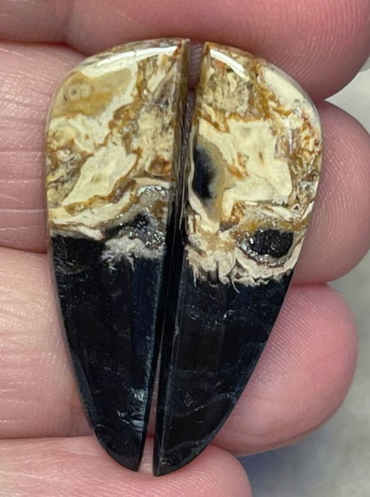 Freeform 33x10mm Indonesian Palm Root Cabochon Pair 22