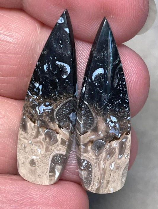 Teardrop 35x11mm Indonesian Palm Root Cabochon Pair 28