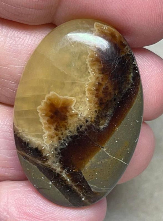 Oval 37x25mm Septarian Cabochon 16