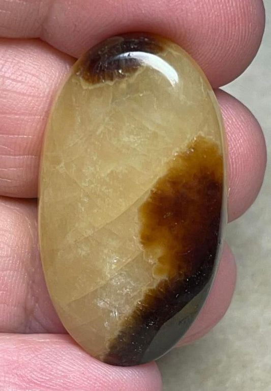 Oval 37x21mm Septarian Cabochon 17