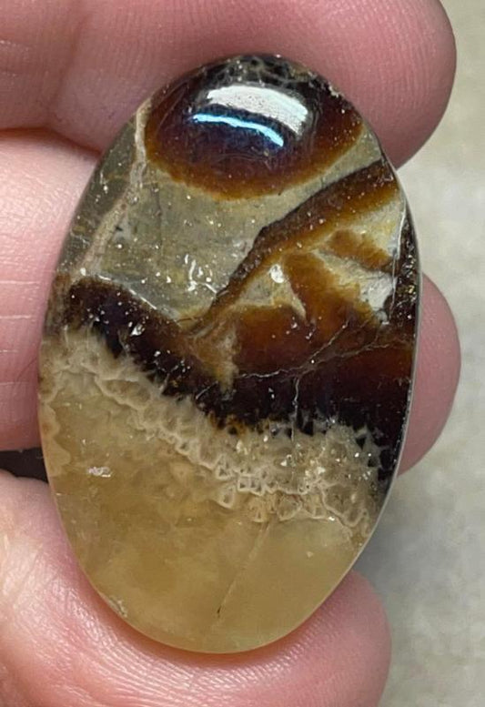 Oval 35x22mm Septarian Cabochon 19