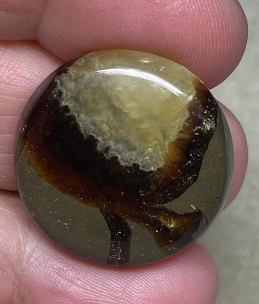 Round 26x26mm Septarian Cabochon 23