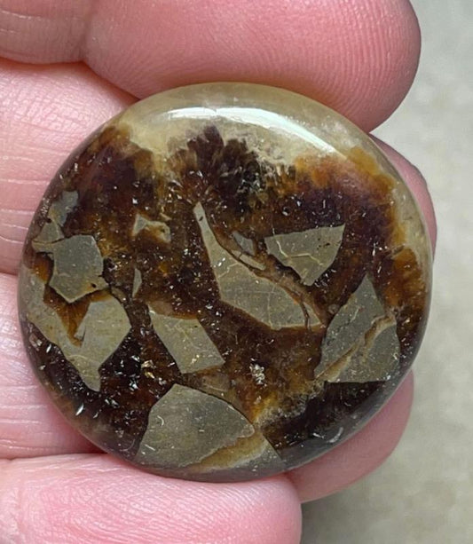 Round 30x30mm Septarian Cabochon 25