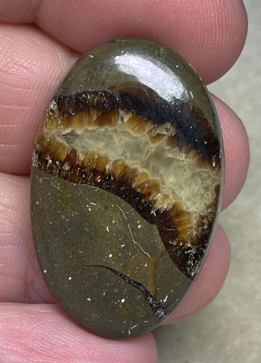 Oval 35x22mm Septarian Cabochon 26
