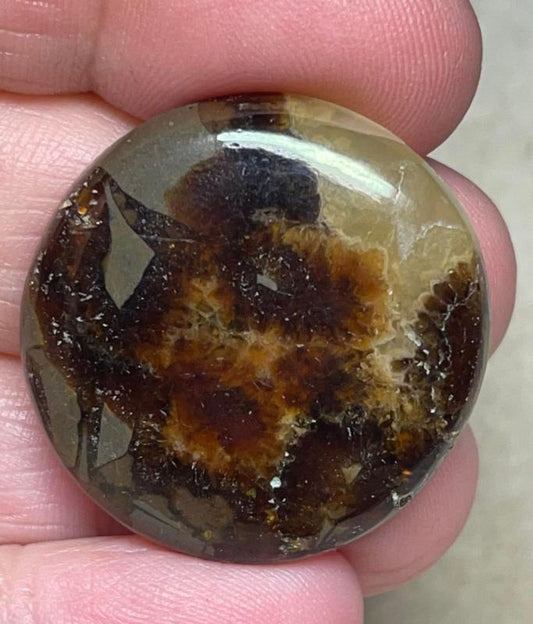 Round 30x30mm Septarian Cabochon 27