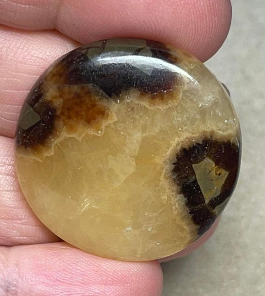Round 32x32mm Septarian Cabochon 30