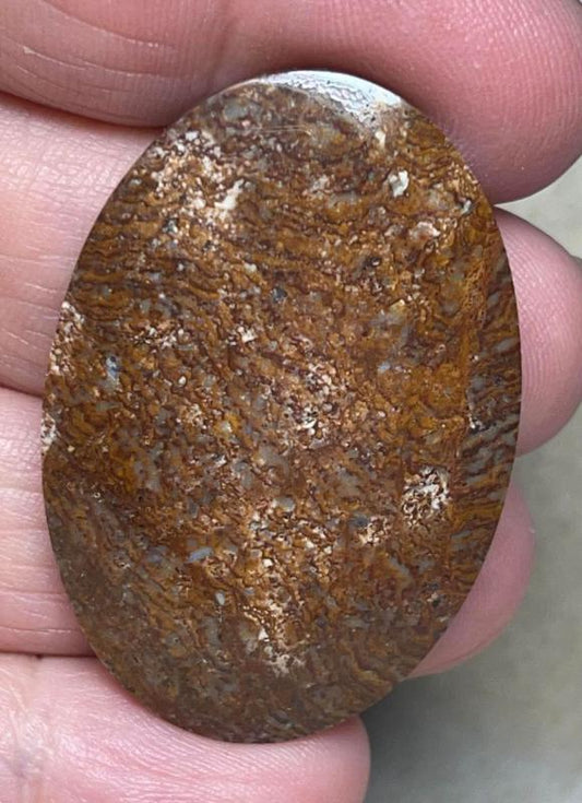 Oval 42x28mm Indonesian Jasper Cabochon 17