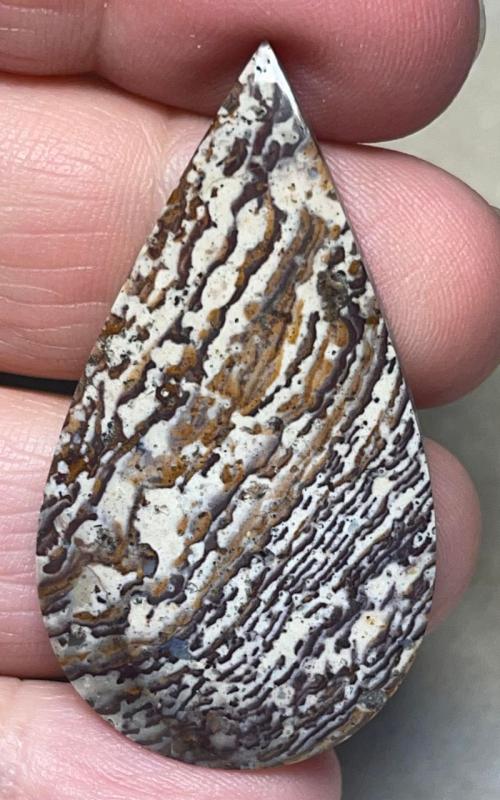 Teardrop 46x25mm Finger Print Jasper Cabochon 05