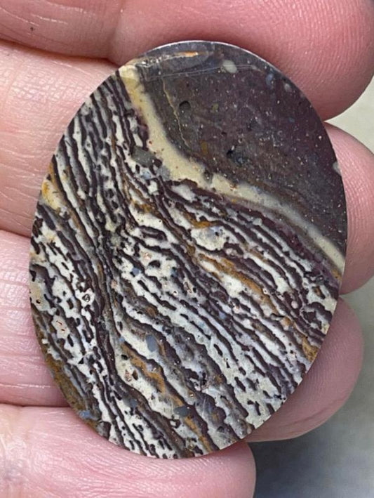 Oval 37x27mm Finger Print Jasper Cabochon 14