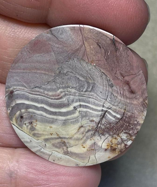 Round 34x34mm Finger Print Jasper Cabochon 16