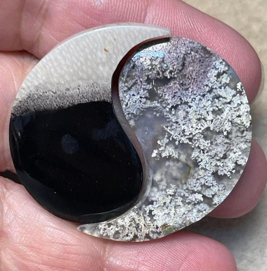 Yin Yang 36x23mm Palm Root and Plume Agate Cabochon Pair 06