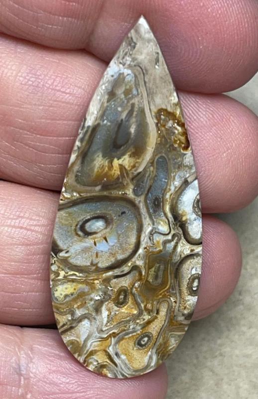Teardrop 48x20mm Agatised Palm Root Cabochon 01