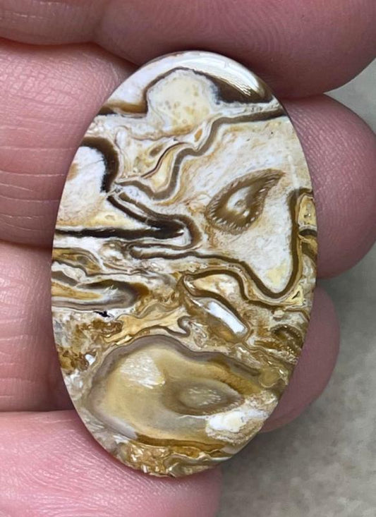 Oval 34x21mm Agatised Palm Root Cabochon 05