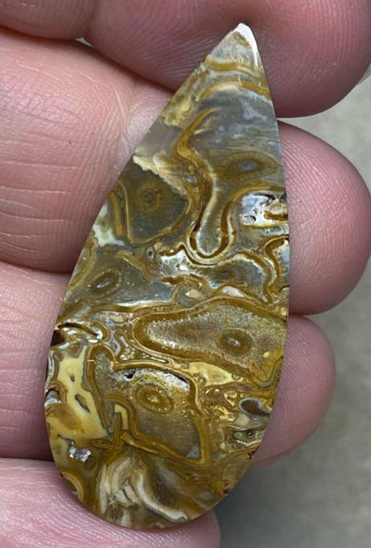 Teardrop 43x19mm Agatised Palm Root Cabochon 08