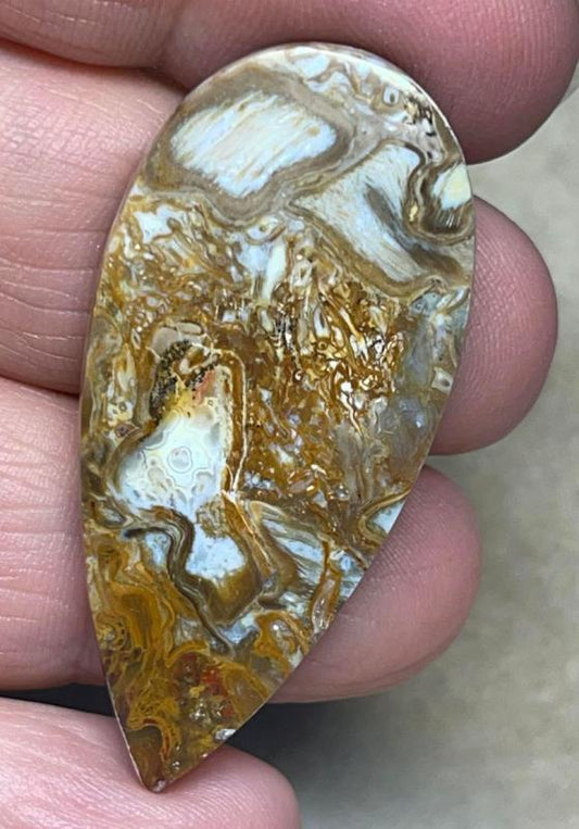 Teardrop 45x21mm Agatised Palm Root Cabochon 14