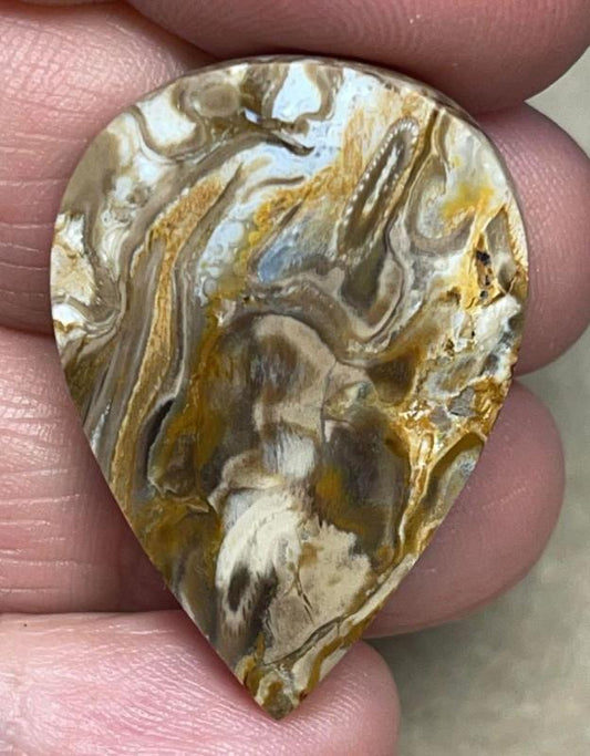 Teardrop 34x24mm Agatised Palm Root Cabochon 18
