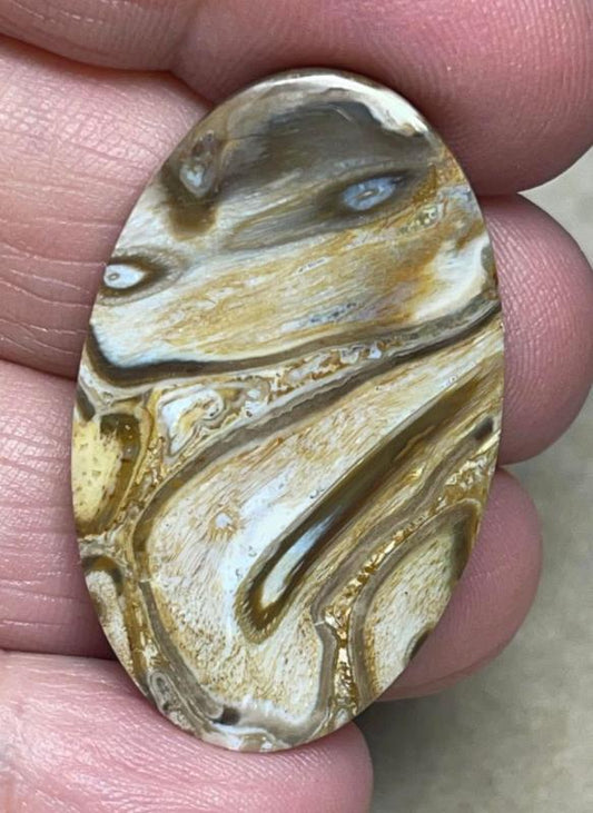 Oval 38x23mm Agatised Palm Root Cabochon 21