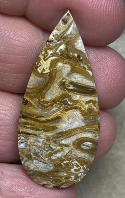 Teardrop 44x20mm Agatised Palm Root Cabochon 23