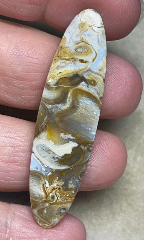 Oval 55x15mm Agatised Palm Root Cabochon 24