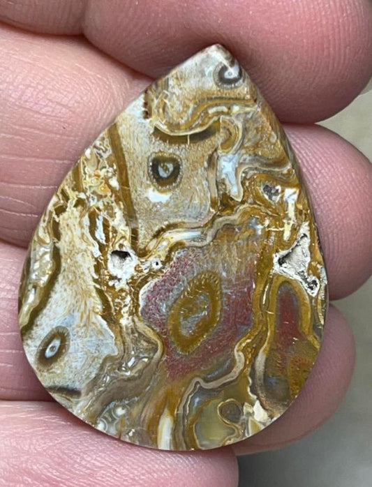 Teardrop 33x25mm Agatised Palm Root Cabochon 25