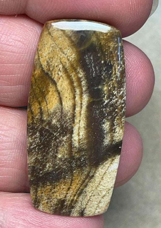 Freeform 38x19mm Indonesian Petrified Wood Cabochon 03