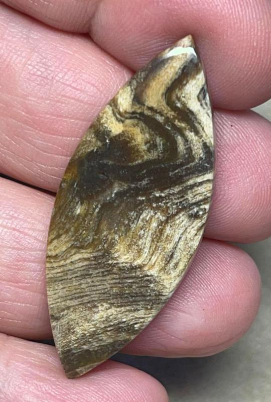 Marquise 43x18mm Indonesian Petrified Wood Cabochon 04