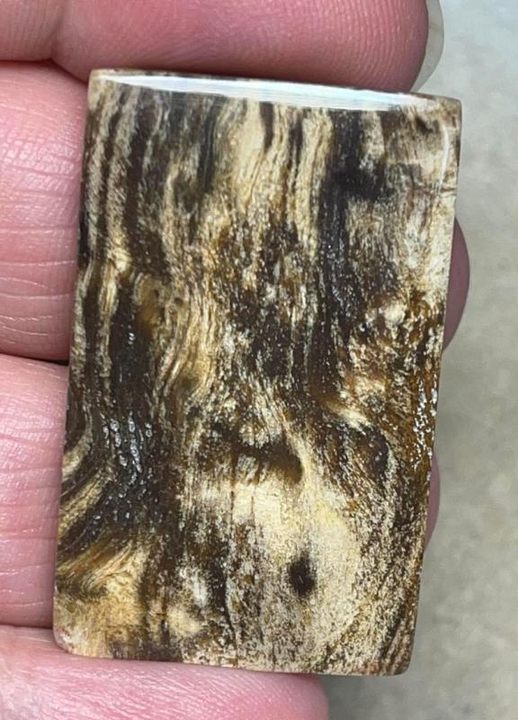 Rectangle 39x24mm Indonesian Petrified Wood Cabochon 07