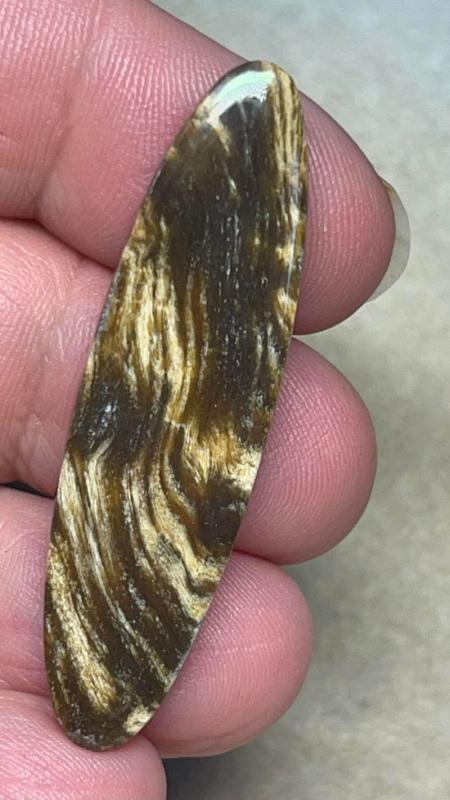 Oval 47x12mm Indonesian Petrified Wood Cabochon 08