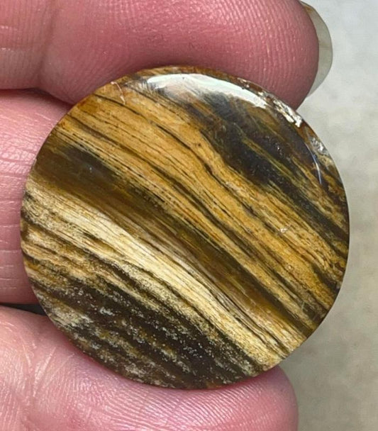 Round 28x28mm Indonesian Petrified Wood Cabochon 09