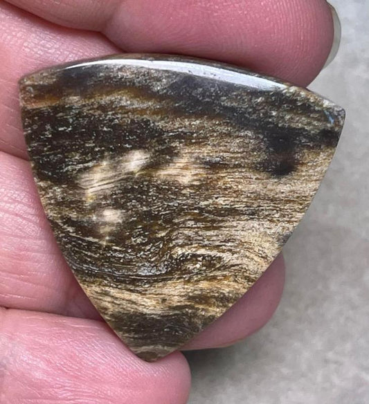 Freeform 33x34mm Indonesian Petrified Wood Cabochon 12