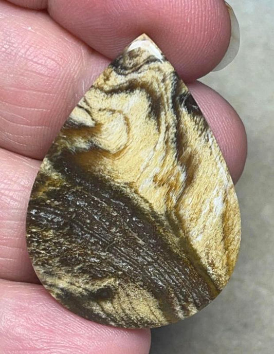 Teardrop 38x28mm Indonesian Petrified Wood Cabochon 15