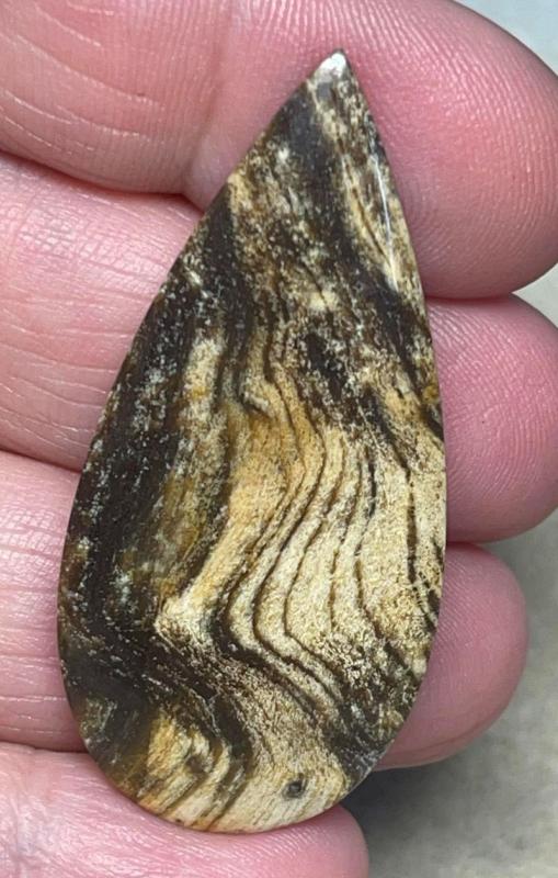 Teardrop 47x22mm Indonesian Petrified Wood Cabochon 17