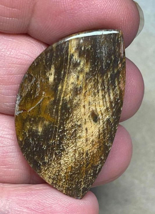 Freeform 39x23mm Indonesian Petrified Wood Cabochon 19