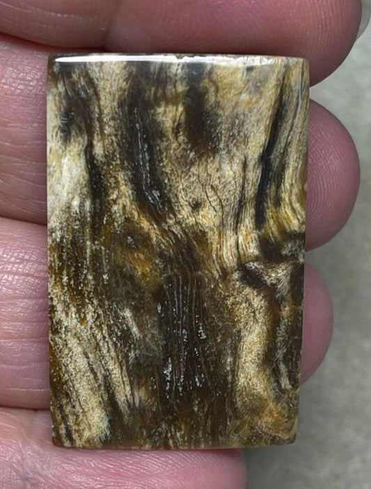 Rectangle 38x24mm Indonesian Petrified Wood Cabochon 20