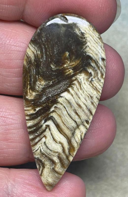 Teardrop 47x21mm Indonesian Petrified Wood Cabochon 21