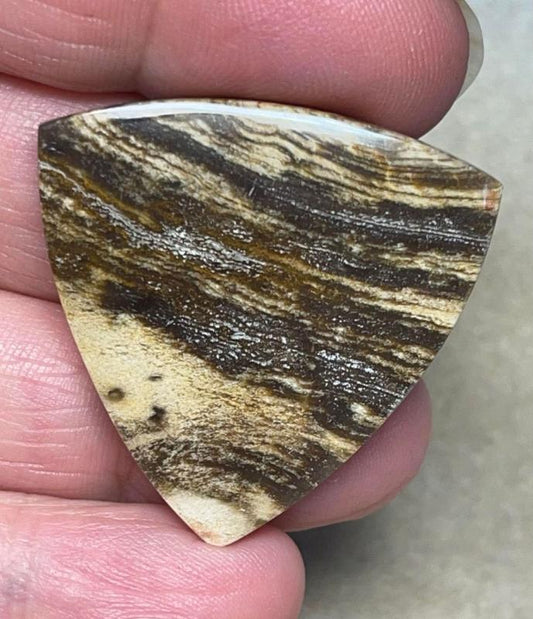 Freeform 34x34mm Indonesian Petrified Wood Cabochon 24