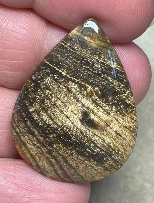 Teardrop 34x25mm Indonesian Petrified Wood Cabochon 25