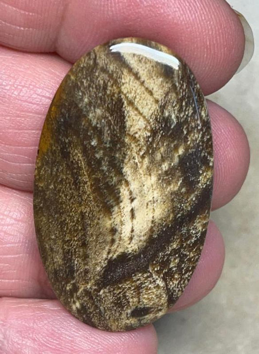 Oval 39x23mm Indonesian Petrified Wood Cabochon 27